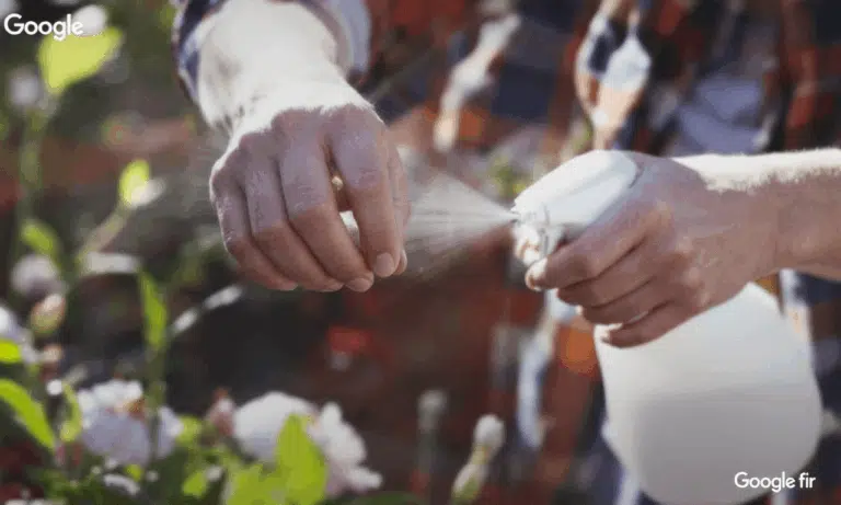 Ditch flies and slugs: discover this budget-friendly DIY repellent that works like magic!