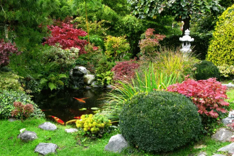 Transform your space: easy Japanese garden ideas for newbies