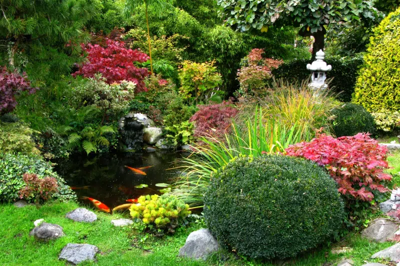 Transform your space: easy Japanese garden ideas for newbies